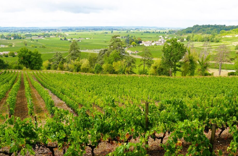 サンテミリオンワイン畑のイメージ